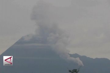 Merapi enam kali semburkan guguran awan panas