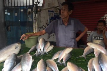 Pasar kaget ikan bandeng muncul jelang Imlek