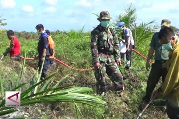 Kebakaran hutan gambut di Aceh Barat meluas