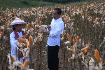 Soal pendampingan 2 juta petani, Presiden: Saya yakin Kadin mampu