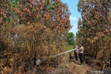 Pendinginan lahan gambut pascakebakaran