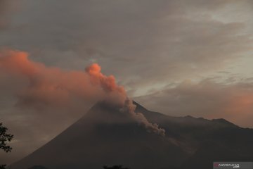 Gunung Merapi luncurkan guguran lava pijar ke Kali Gendol