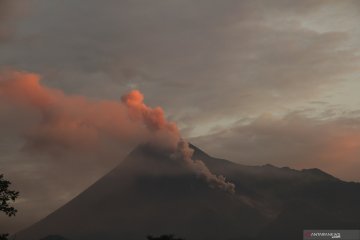 Awan panas guguran keluar dari Merapi