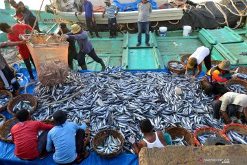 Dampak pemberantasan pencurian ikan diharapkan sampai ke nelayan
