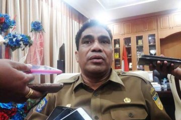 Beranda - Pemprov Papua rencana akomodir 78 tenaga honorer