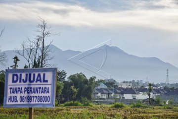 Alih Fungsi Lahan Pertanian