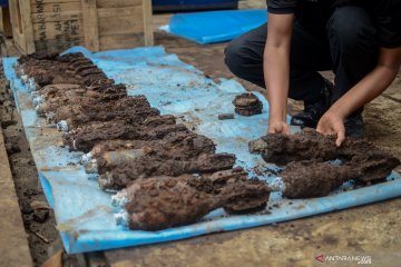 Penemuan mortir di rumah warga