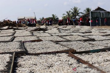 Hasil tangkapan nelayan Lhokseumawe didominasi teri