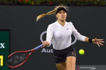 Bouchard mundur dari Wimbledon yang tidak memberi poin ranking