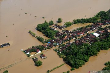 Pemkab Madiun catat kerugian pertanian akibat banjir capai Rp7 miliar lebih