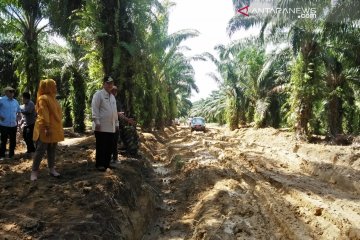 Wagub Sumbar  tinjau Jalan Pelabuhan Teluk Tapang