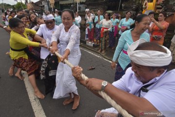 Umat Hindu Bali rayakan Hari Suci Nyepi di  Kopenhagen