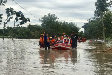 Kerugian sektor pertanian akibat banjir Madiun capai Rp8,5 miliar