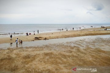 Atasi abrasi, Kotawaringin Timur usulkan pembangunan sabuk pantai