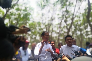 Penjelasan Jokowi soal masalah tanah ibu Halimah