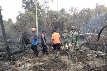 BPBD sebut karhutla di Nagan Raya-Aceh diduga sengaja dibakar