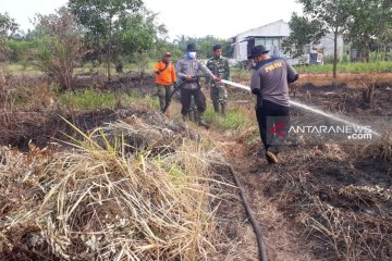 Luas kebakaran hutan dan lahan di Riau 1.761 hektare