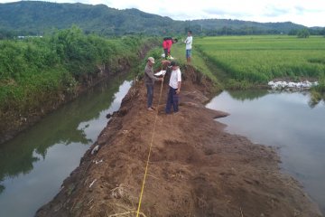 Tulungagung bergegas perbaiki tanggul jebol penyebab banjir