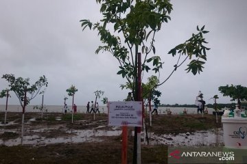 Bupati Pandeglang: hutan mangrove berpotensi untuk pariwisata