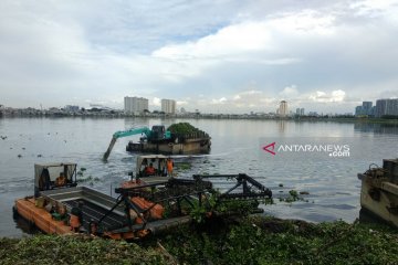 Petugas angkat 1.200 meter kubik eceng gondok dari Waduk Pluit