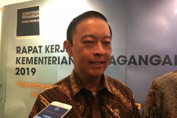 Realisasi investasi luar Jawa meningkat meski Jawa masih mendominasi