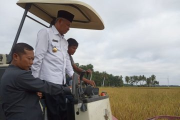 Ogan Komering Ulu Timur-Sumsel terus pacu pertanian organik