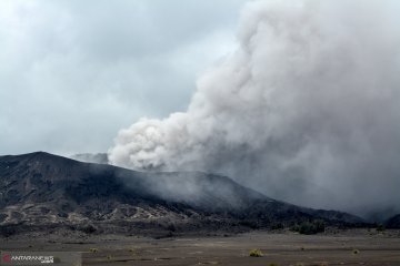 BPBD Probolinggo bagikan masker kepada warga lereng Gunung Bromo