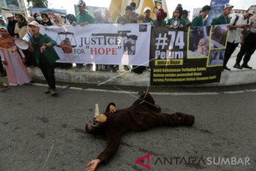 AKSI PEDULI ORANGUTAN SUMATERA