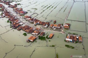 Dampak abrasi di Demak