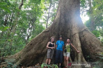 FAO-KLHK suarakan pendidikan hutan untuk selamatkan kehidupan