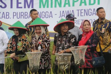 KKP: Program minapadi Indonesia sudah dipelajari 13 negara