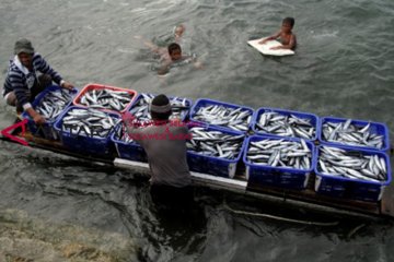 Tangkapan ikan menurun