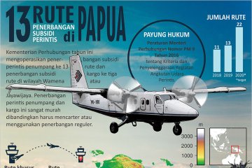 Rute baru penerbangan perintis di Papua