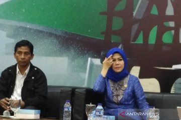 DPR-Pemerintah bahas RUU SDA sampai sebelum September 2019