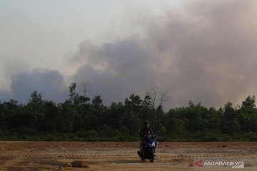 Kota Dumai diselimuti asap pekat akibat Karhutla