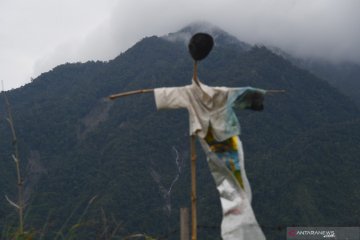 Kementerian LHK: Pemulihan lahan kritis di Indonesia butuh 60 tahun