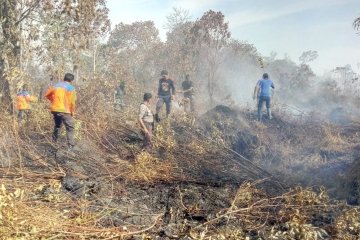 Empat hektare lahan gambut di Aceh hangus terbakar