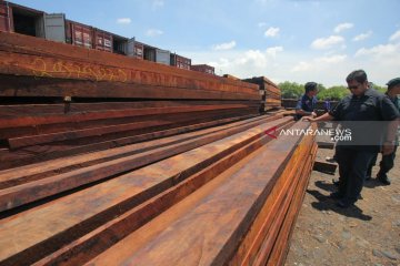 DPR apresiasi KLHK terkait pengungkapan kasus kayu ilegal