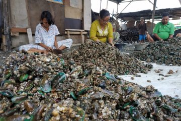 Nelayan kerang di Teluk Jakarta keluhkan limbah