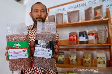 Indonesia ekspor beras premium asal Cianjur ke Singapura