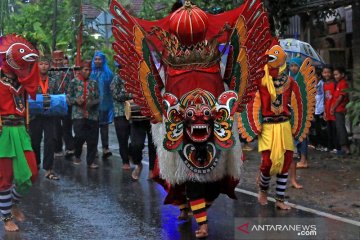 Pemilu; kalau di luar panas, Osing adem ayem