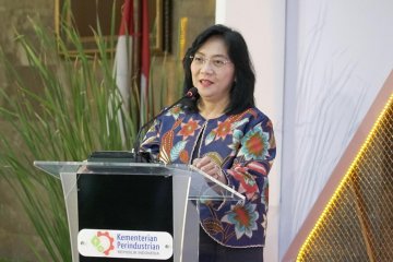 Gati Wibawaningsih, Kartini pembina IKM dengan hati