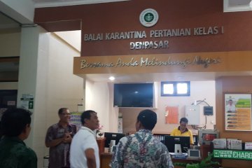 Mentan sidak pelayanan ekspor di Balai Karantina Denpasar