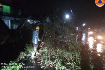 BNPB: Angin kencang sebabkan satu tewas di Kota Batu