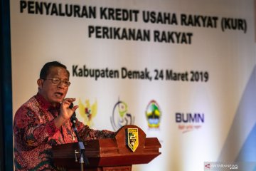 Pemerintah serentak luncurkan KUR perikanan di enam provinsi