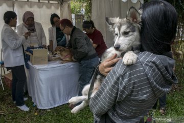 Pet Healthy Day