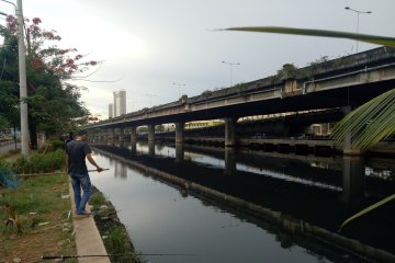 Sudin Lingkungan Hidup Jakut selidiki potensi pencemaran Kali Ancol