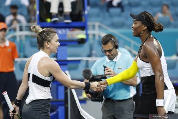 Singkirkan Wang, Halep ditantang Pliskova di semifinal Miami Open