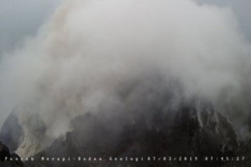 Merapi meluncurkan awan panas guguran sejauh 1.500 meter