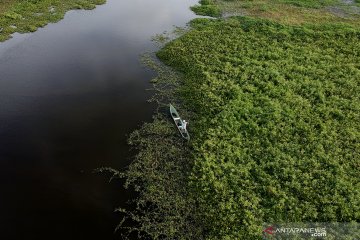 Danau Limboto masuk ke dalam kategori kritis